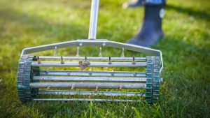 Top 10 Fall Lawn Care Tips for Florida Homeowners - 2