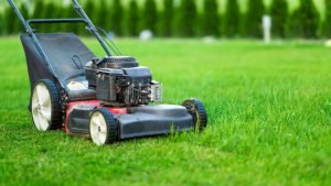 Top 10 Fall Lawn Care Tips for Florida Homeowners - 3