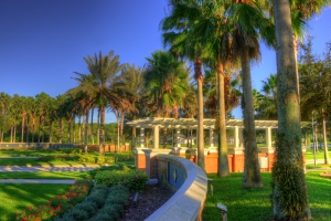 Florida palm trees greet incoming residents and visitors