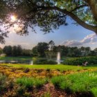 Must-Do Experiences in Lake Nona