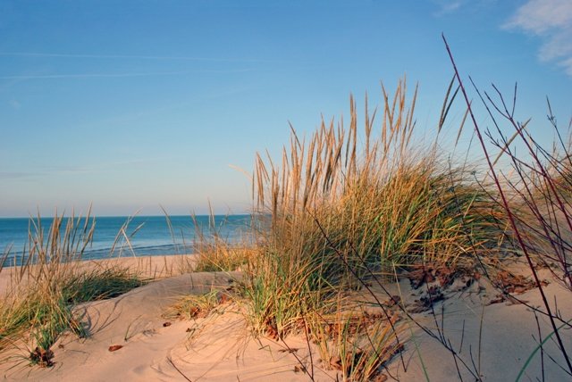 Keeping Sand Out of Florida Homes - Beach photo tamaya