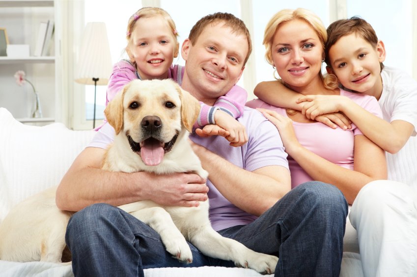 Home Design For Our Furry Friends - Family at home