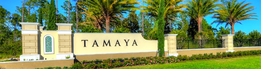 tamaya-banner
