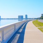 A Slice of Tampa Life: Bayshore Boulevard