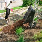 Grow Your Home’s Value with These DIY Landscaping Tips