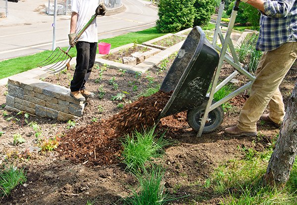Grow Your Home’s Value with These DIY Landscaping Tips - mulching 600
