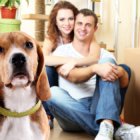 Help Fido Feel a Part of the Moving Process