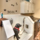 How to Create a Home with Fido in Mind