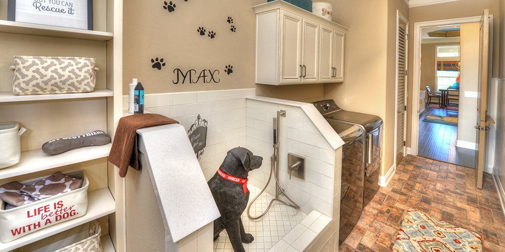 How to Create a Home with Fido in Mind - dog friendly home