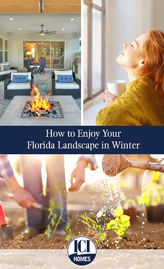 How to Enjoy Your Florida Landscape in Winter