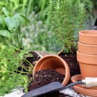 Container Gardening: The Most Fun You’ll Have Playing in the Dirt