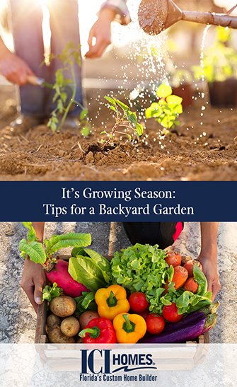 Tips for a Backyard Garden