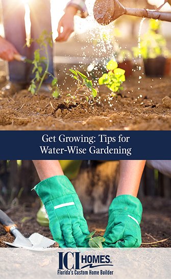 Get Growing Tips for Water-Wise Gardening