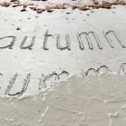 Fall in Florida: Tips for Enjoying the Season