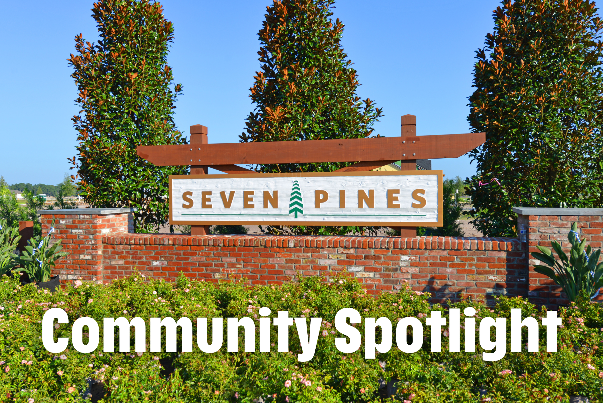 Community Spotlight: Exploring Seven Pines - Community Spotlight