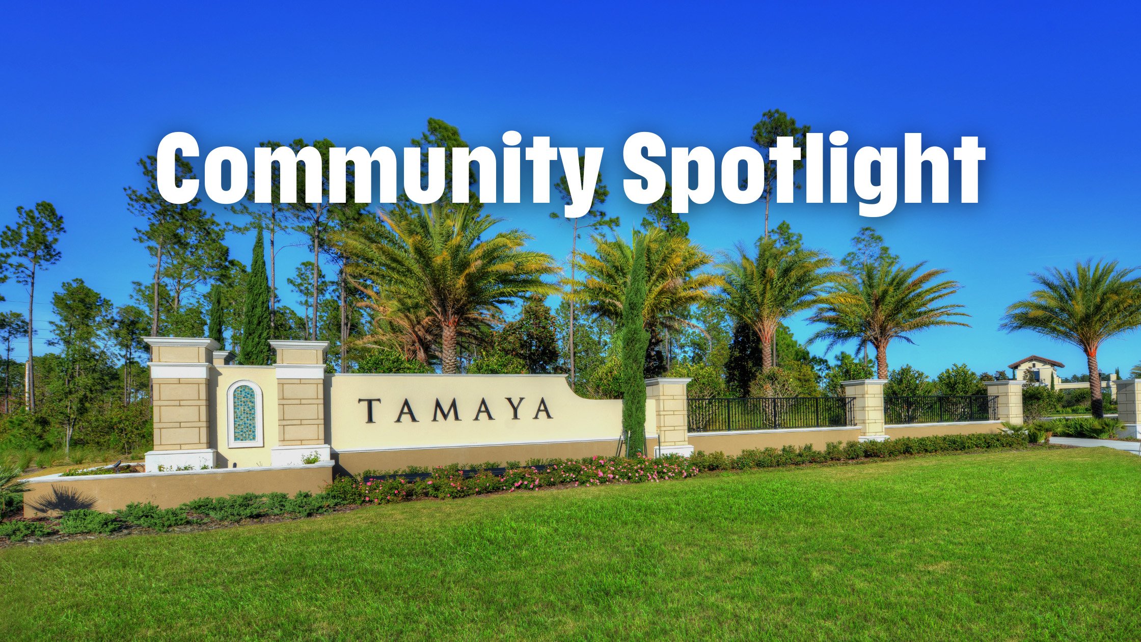 Community Spotlight: Exploring Tamaya - Community Spotlight 1500 × 1001 px Blog Banner