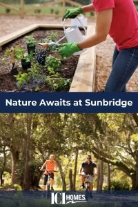 Nature is a Thing at Sunbridge - nature awaits at sunbridge